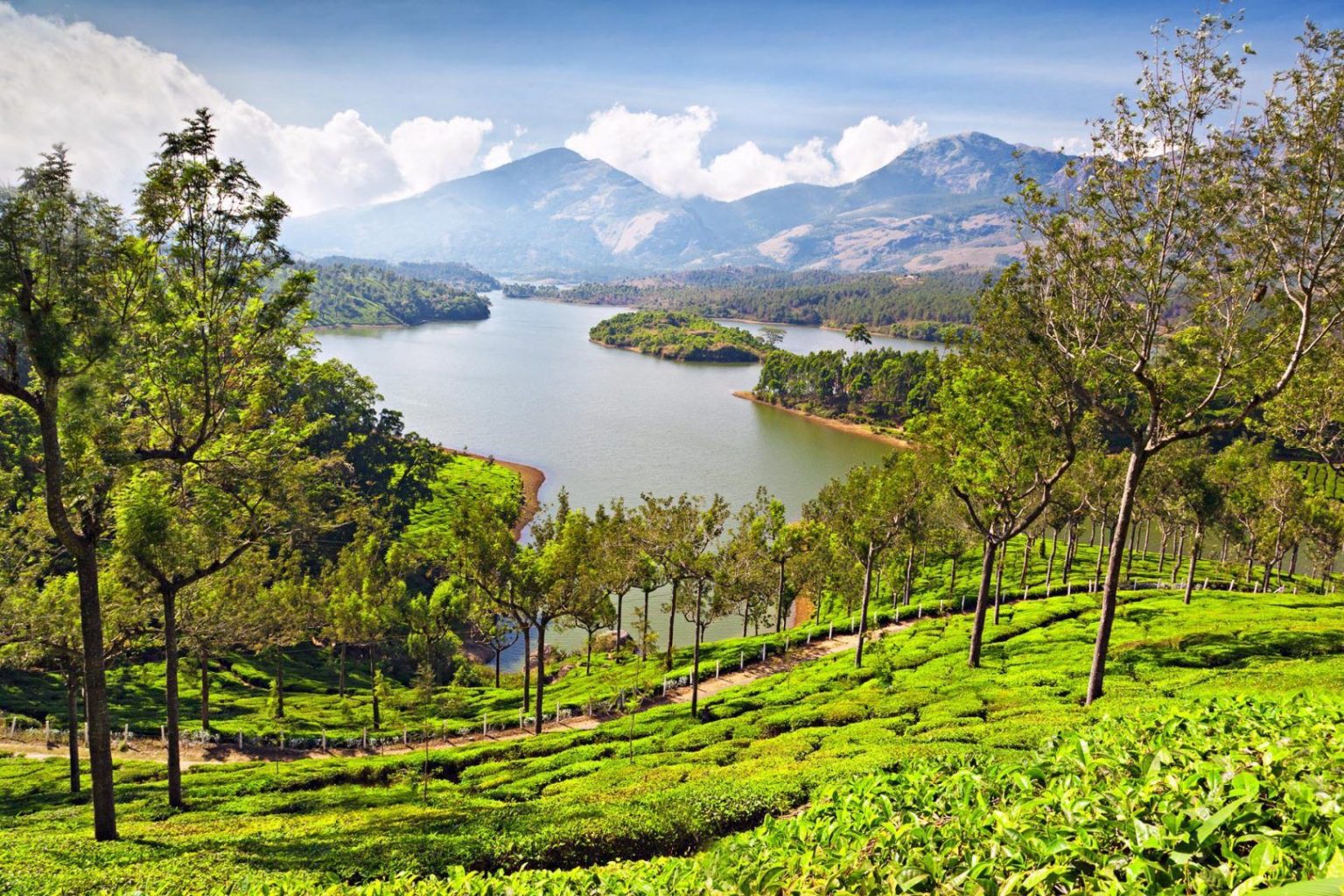 Munnar ,Kerala