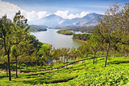 Munnar ,Kerala